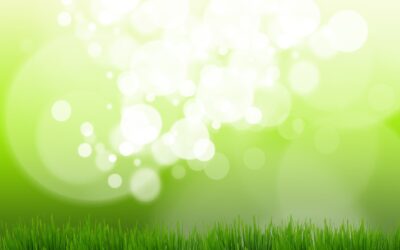 Le printemps est là !